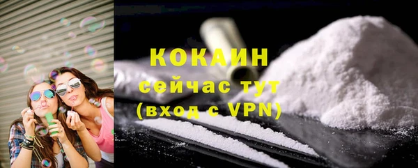 дживик Балахна