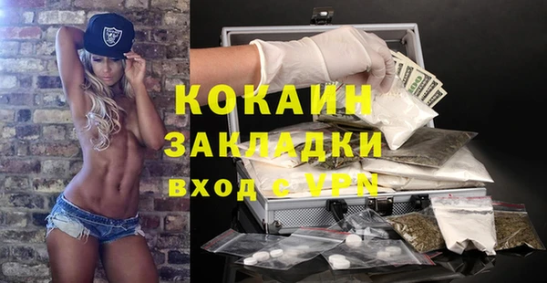 дживик Балахна