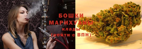 PSILOCYBIN Балабаново
