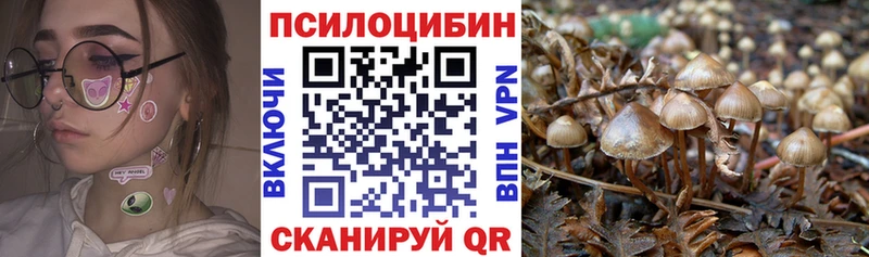Галлюциногенные грибы Magic Shrooms Унеча